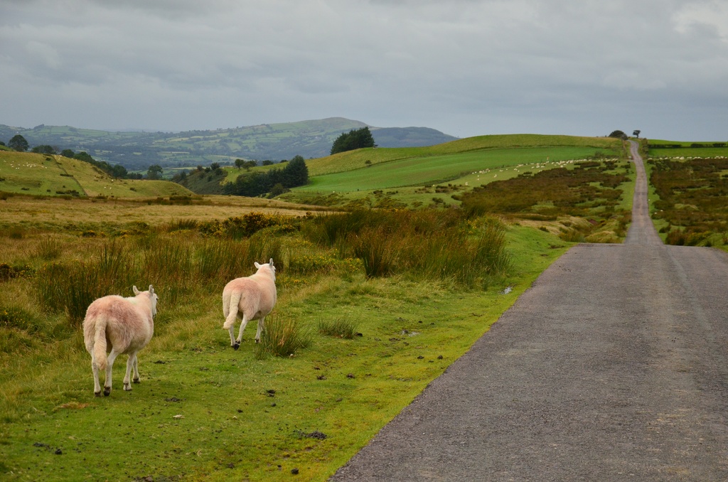 2016-08-20 South Wales/DSC_0165.JPG